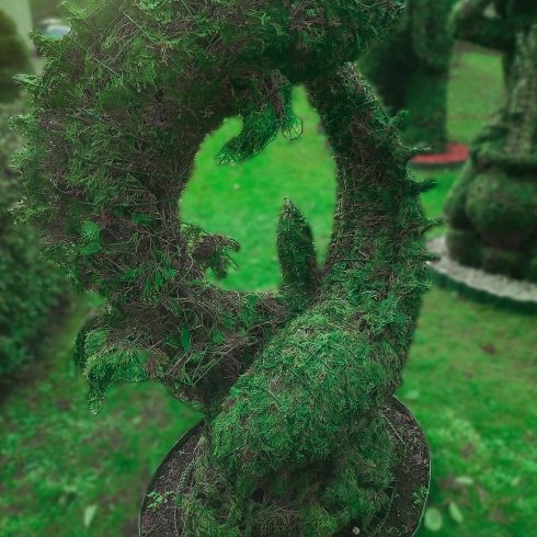 zodiako zenklas zuvys remas topiary augalu skulptura tujos