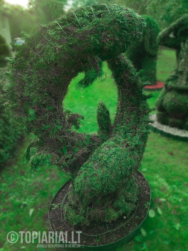 zodiako zenklas zuvys remas topiary augalu skulptura tujos