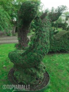 zodiako zenklas zuvys remas topiary augalu skulptura tujos